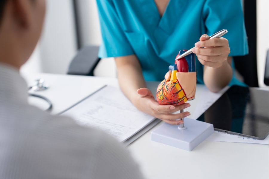 A doctor explaining with a heart model